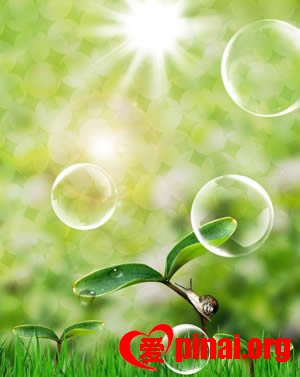 晨祷班（三句半）