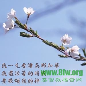 越有难处、越受伤就越要赞美