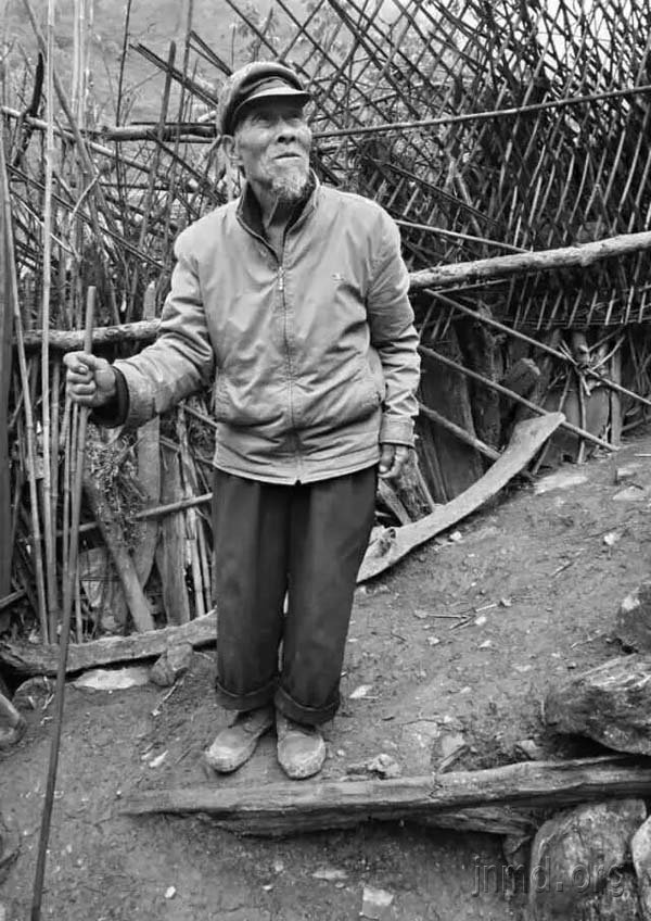 大卫 传道人 86岁