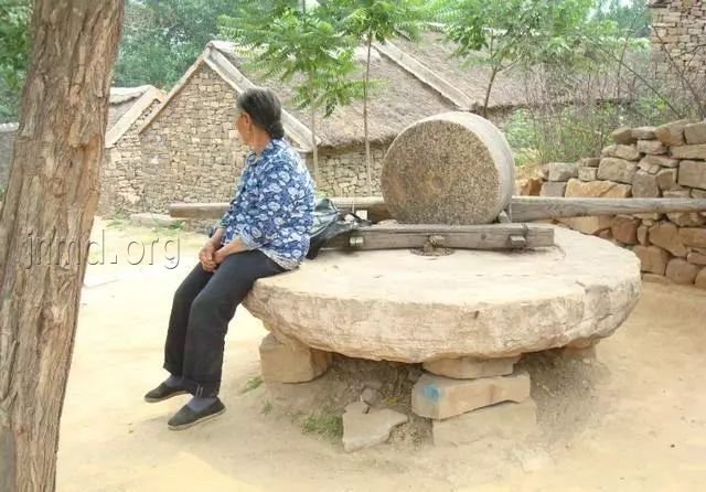 榜样的力量背后，是爱的陪伴与坚定的信靠