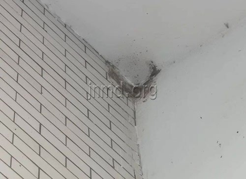 墙角的燕巢残痕